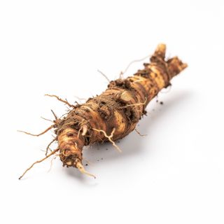Goldenseal Root