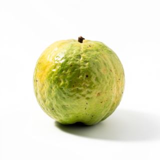 Guava
