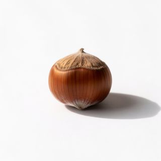 Hazelnut