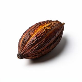 Cacao