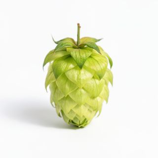 Hops