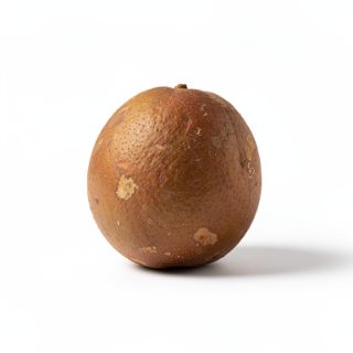 Mamey