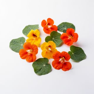 Nasturtiums