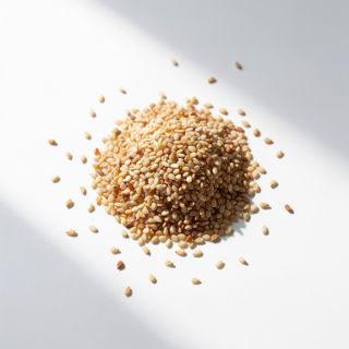 Sesame Seeds