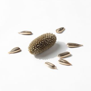 Sunflower Seeds