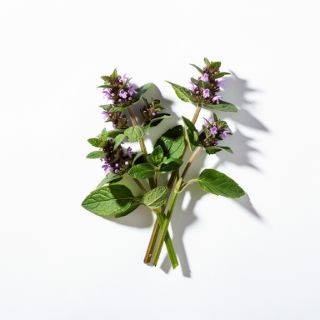 Self heal (or heal-all)