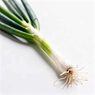 Green Onion