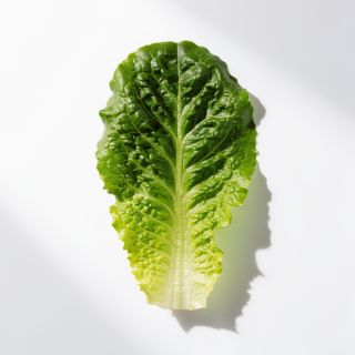 Romaine