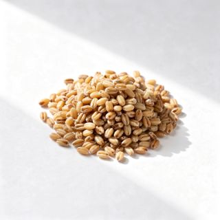 Farro