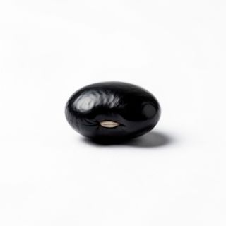 Black Bean