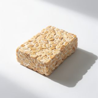 Tempeh