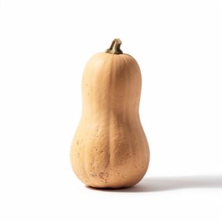 Butternut Squash