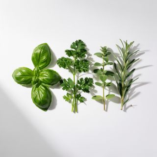 Flavor (Basil, Parsley, Oregano, Tarragon