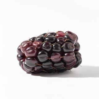Blackberries