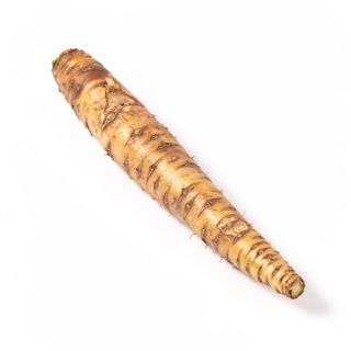 Burdock Root