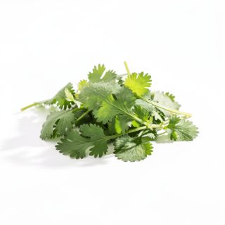Extra Cilantro, For Serving