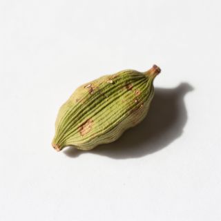 Cardamom
