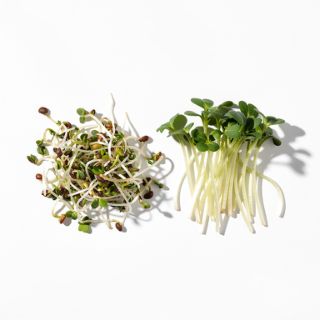 /2 Sprouts Of Your Liking (Alfalfa, Sunflower