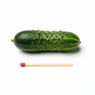 English Cucumber, Matchstick