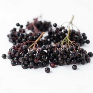 Elderberries